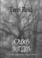 [Misterios Paranormales de Mary O Reilly 01] • Cabos Sueltos